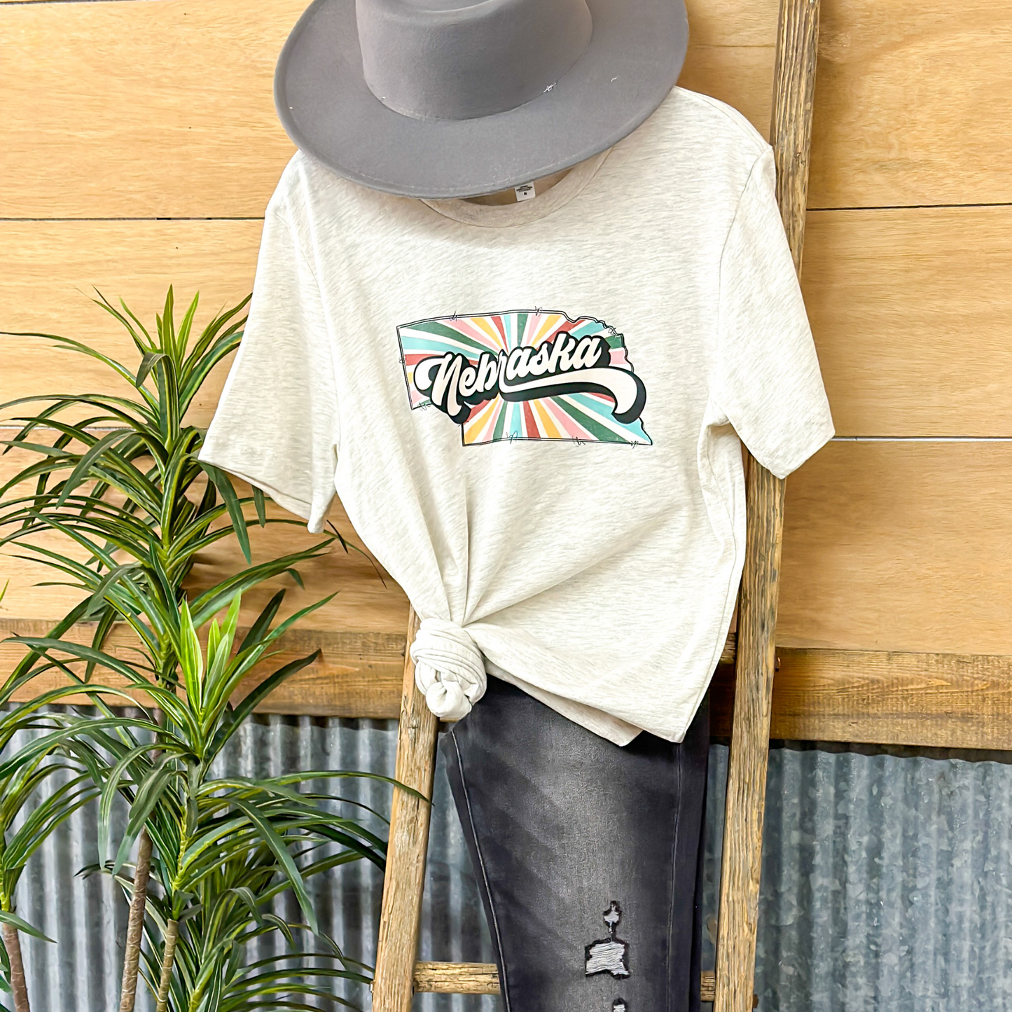 Retro Nebraska state