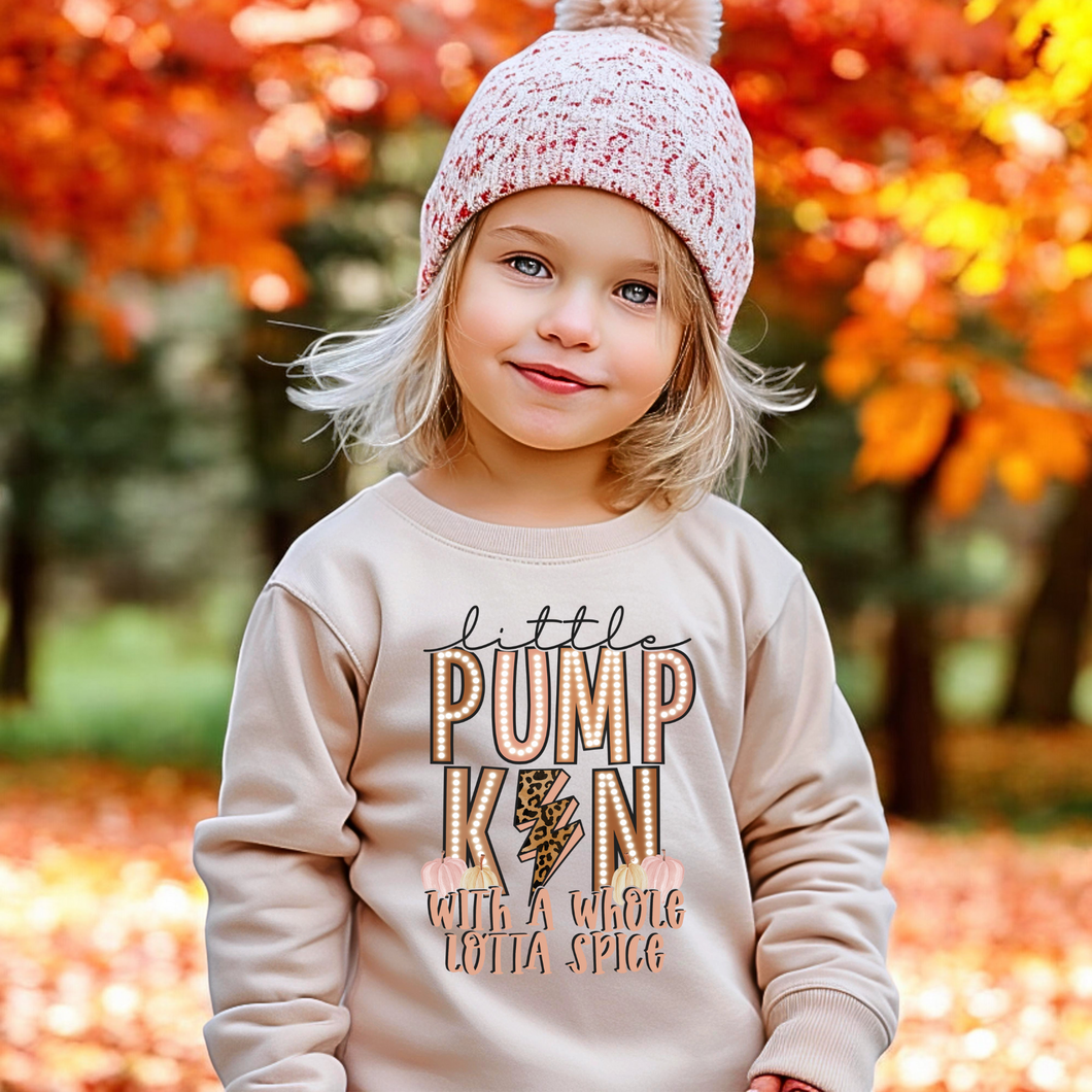 Little Pumpkin Sweatshirt